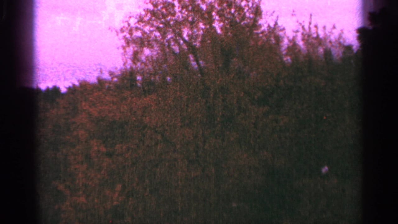 1964 Minnesota 8mm frame with leafy forest canopy and brush rising into a saturated purple-tinted sky.