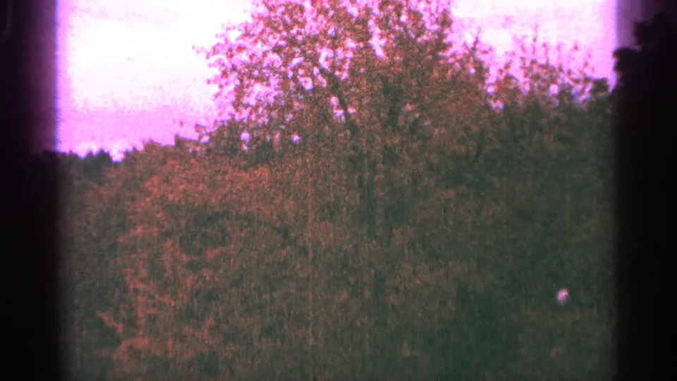 1964 Minnesota 8mm frame showing tall leafy trees and dense forest growth under a bright magenta-purple sky.