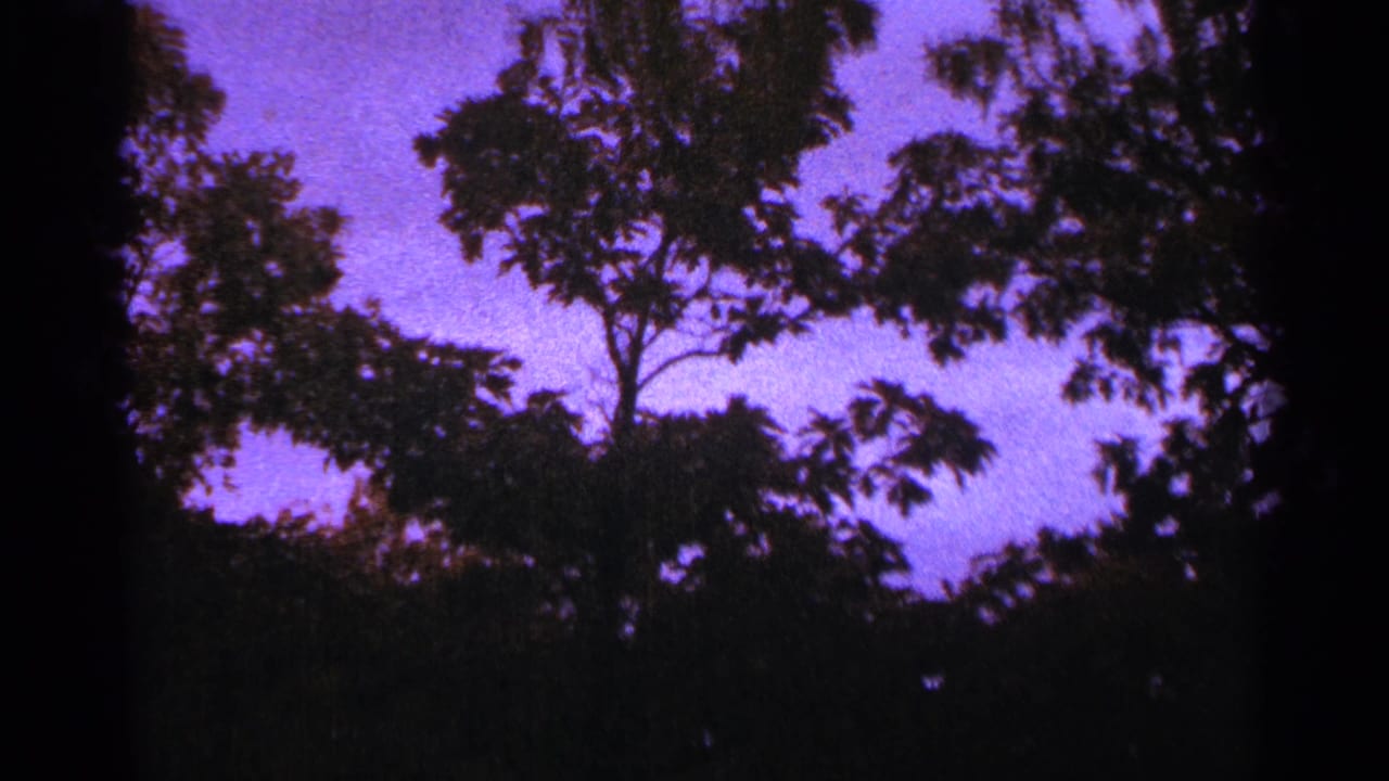 1964 Minnesota 8mm frame with dark tree silhouettes and foliage against a purple color-shifted sky.