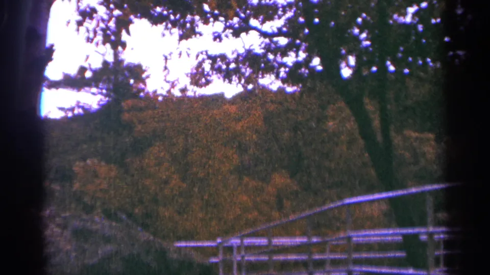 A 1964 Minnesota park frame shows the bridge railing and surrounding trees after the man has moved out of view.