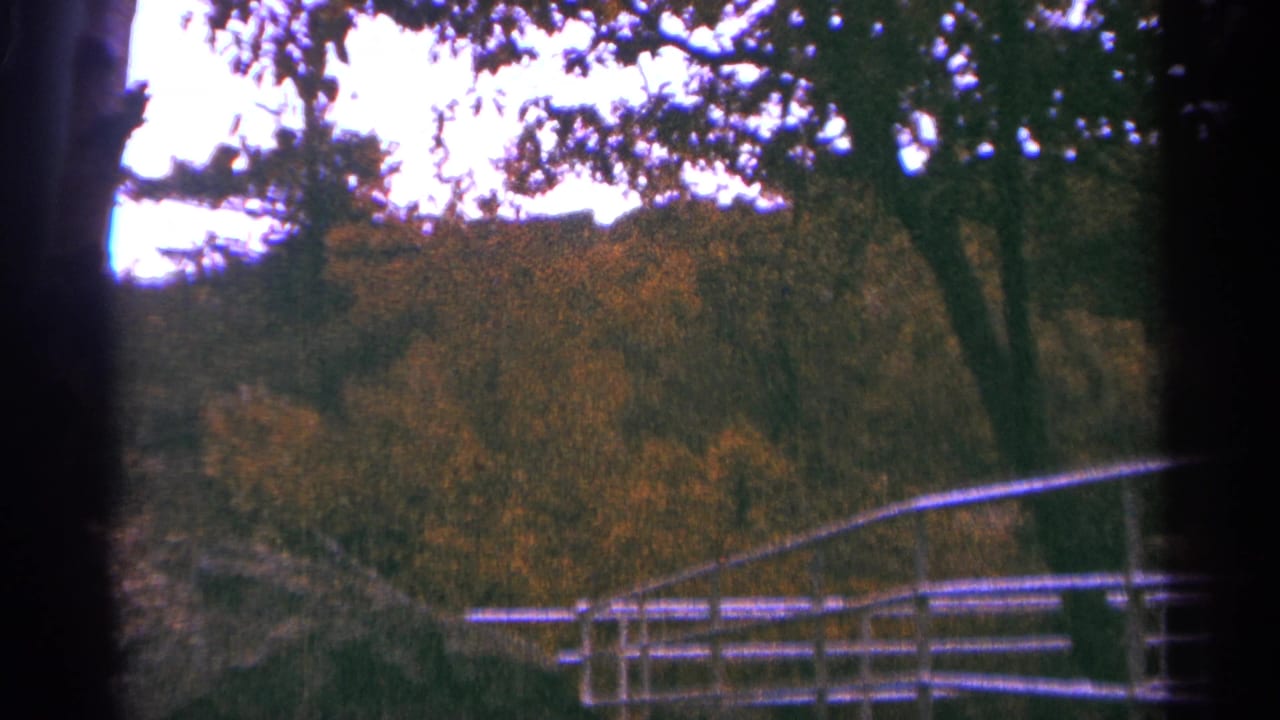1964 Minnesota 8mm frame showing gold-leaved trees, a pale fence, grass, and strong edge shadows from the film gate.