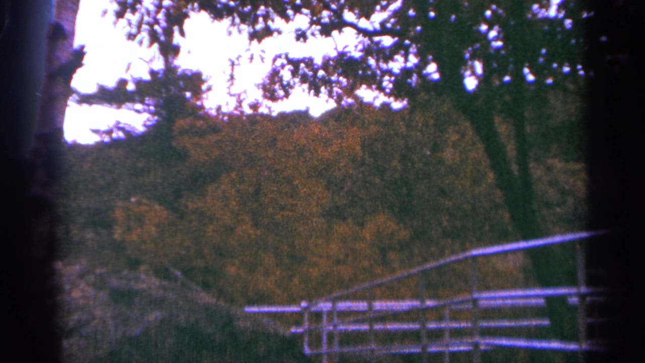 Autumn foliage and pale fence seen through a dark vignetted frame edge.