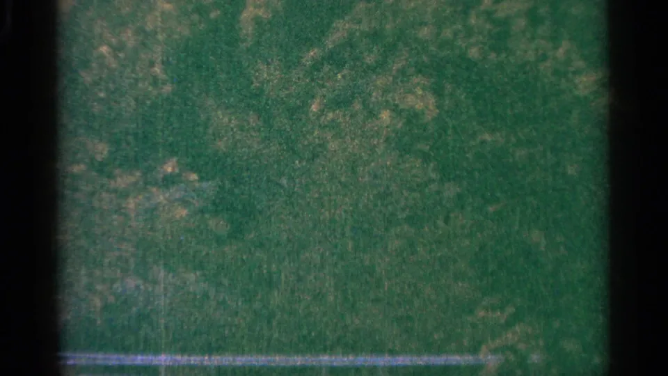 1964 Minnesota 8mm frame looking over green grass, faint foliage, a low pale fence line, and pronounced gate-shadow borders.