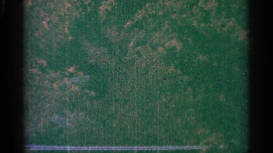 1964 Minnesota home-movie frame showing green grass, faint shrubs or trees, a low pale fence, and dark vertical film-edge shadow.