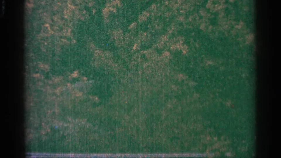 1964 Minnesota 8mm frame with soft green woodland or ground texture, grain, fading, and dark gate edges.