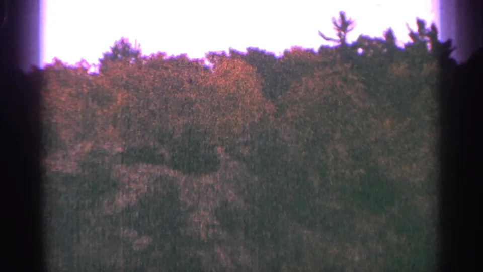 1964 Minnesota 8mm view of a low wooded treeline with autumn tones under a bright overexposed sky.