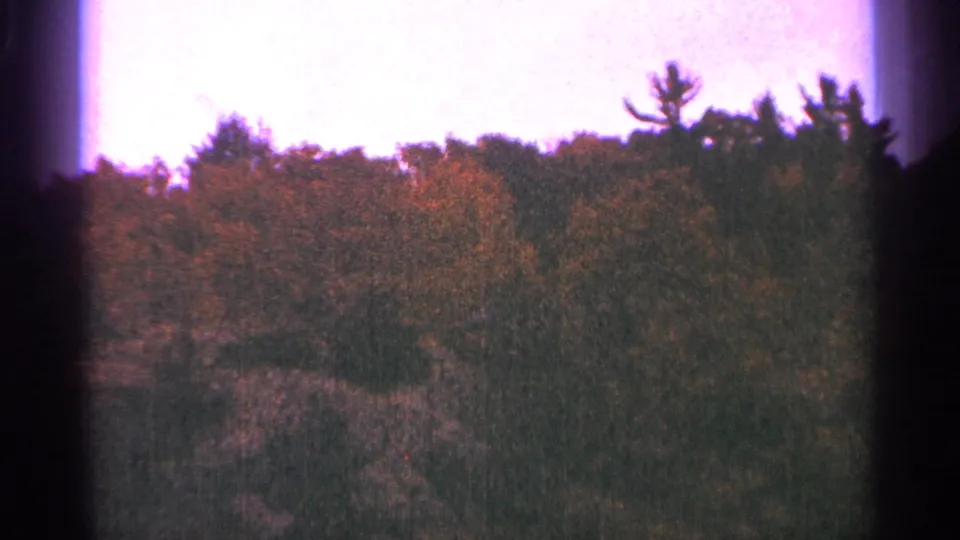 1964 Minnesota 8mm frame of a wooded treeline, pale overexposed sky, grain, and vertical gate-edge shadows.