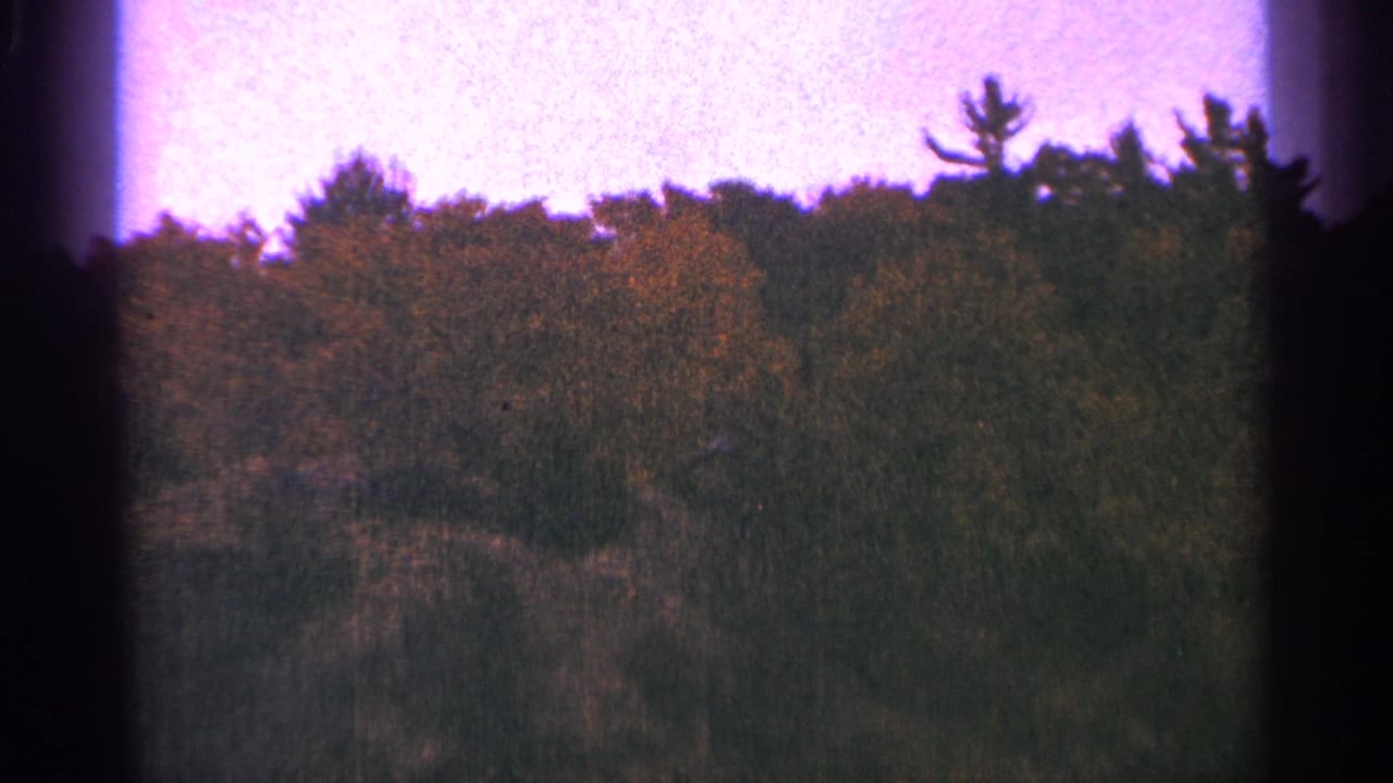 1964 Minnesota 8mm frame showing a wooded treeline under a purple-pink sky with dark gate edges.