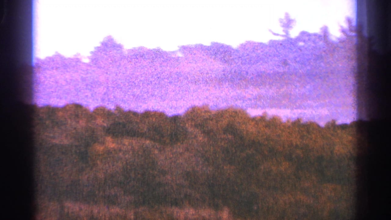 1964 Minnesota landscape frame with brush, distant trees, and a pale purple sky on grainy 8mm film.