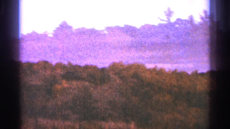 1964 Minnesota landscape frame with brush, distant trees, and a pale purple sky on grainy 8mm film.