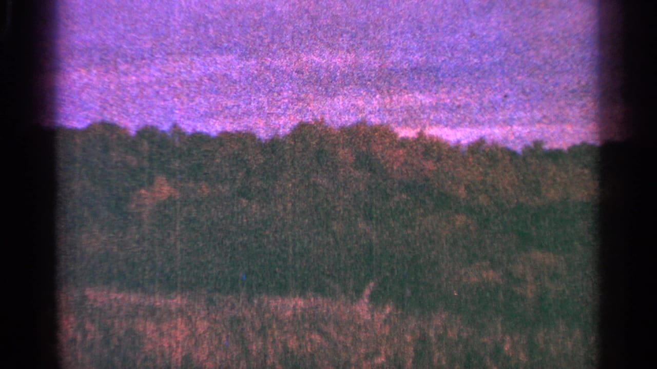 Dark treeline above a grassy field under a purple sky with visible film edges.