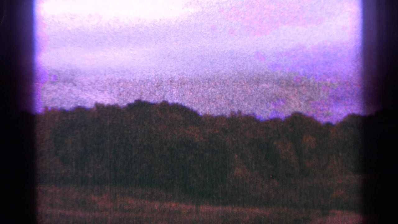 1964 Minnesota 8mm landscape frame with a dense treeline, field grasses, pale purple sky, and strong film grain.