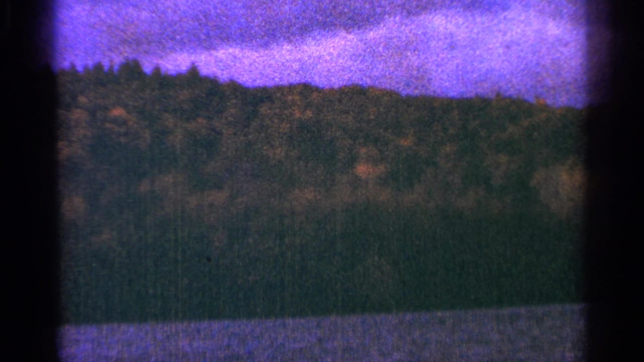 Wooded hill above a dark river edge under a pink-purple sky.
