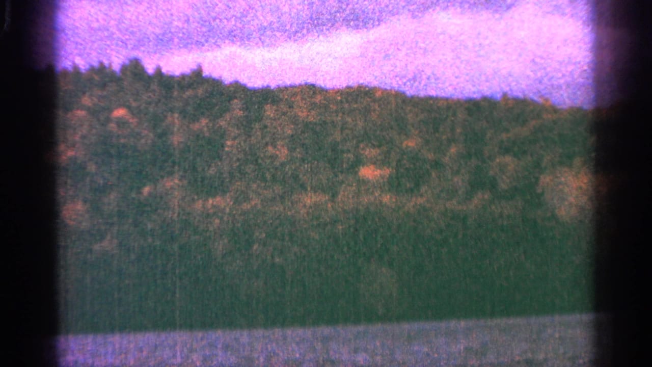 1964 Minnesota home-movie frame with a wooded slope, narrow water edge, and magenta sky, bordered by dark film gate edges.