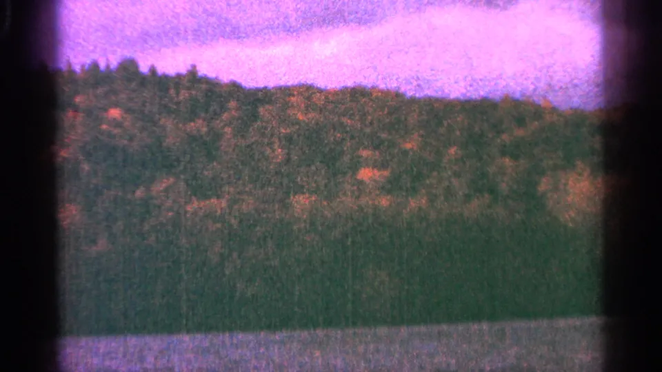 1964 Minnesota 8mm view of autumn-toned trees on a ridge, with water along the lower frame and pink sky overhead.