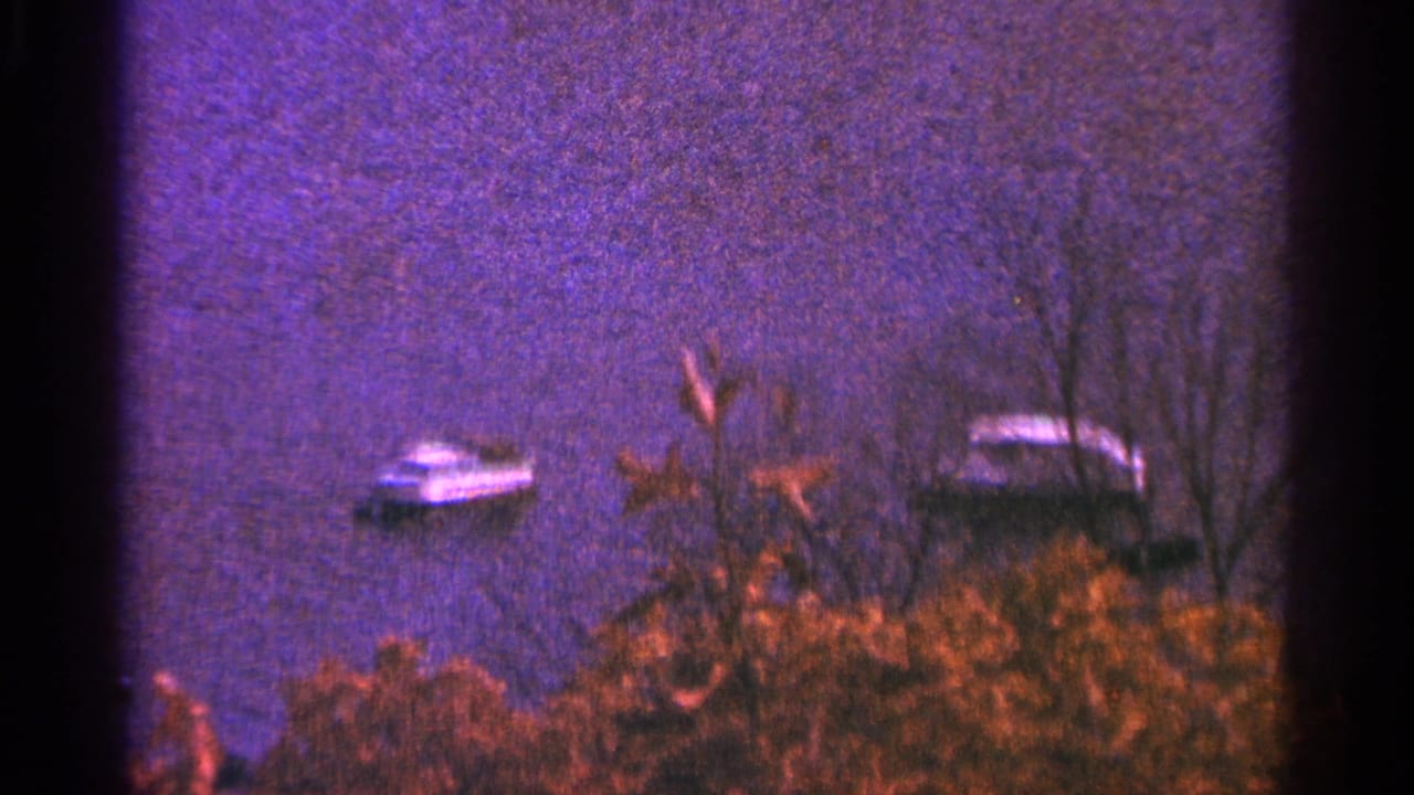 Small boats on lake water seen above brush and bare shoreline trees.