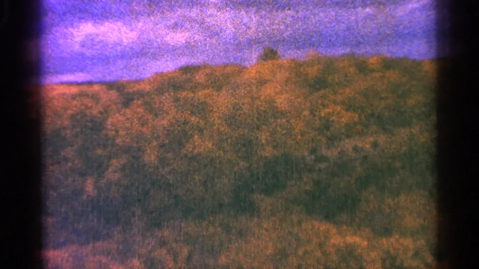 1964 Minnesota home-movie frame of a wooded hillside, open sky, and dense brush with visible 8mm texture.