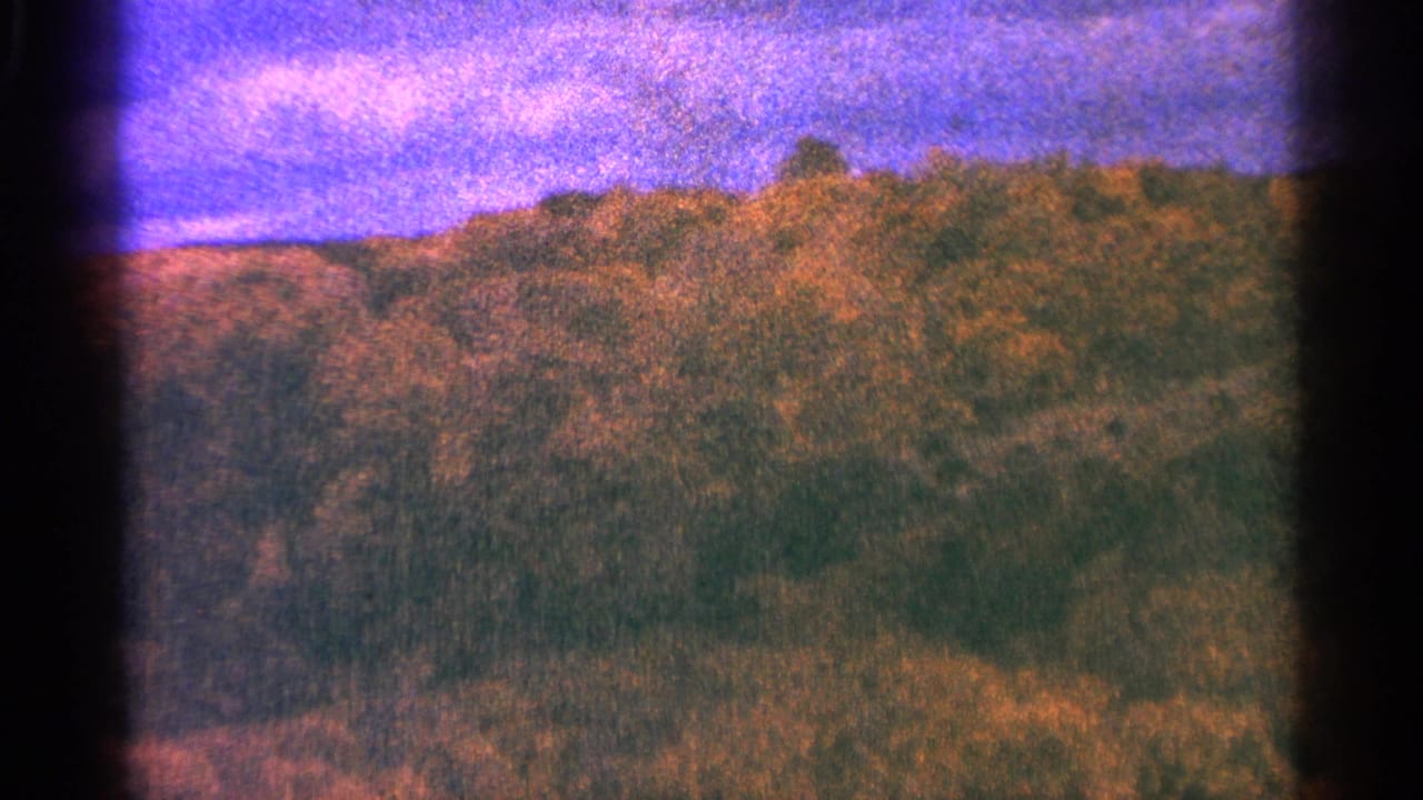 Wooded hillside beneath a blue-purple sky with dark 8mm frame edges.