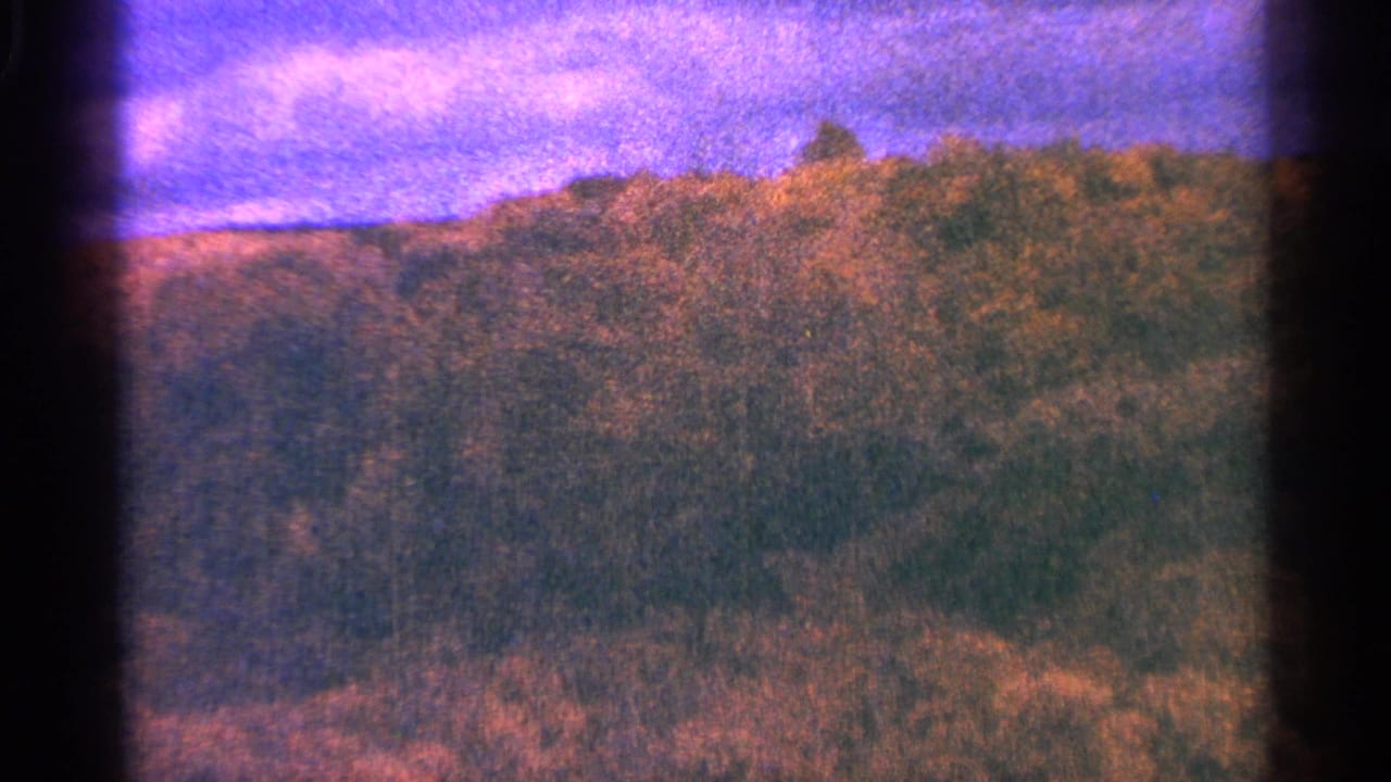 Dense forested slope under a saturated sky, framed by dark film borders.