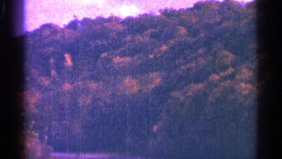1964 Minnesota 8mm frame looking across a wooded hillside, with a pale strip near the lower edge and heavy archival grain.