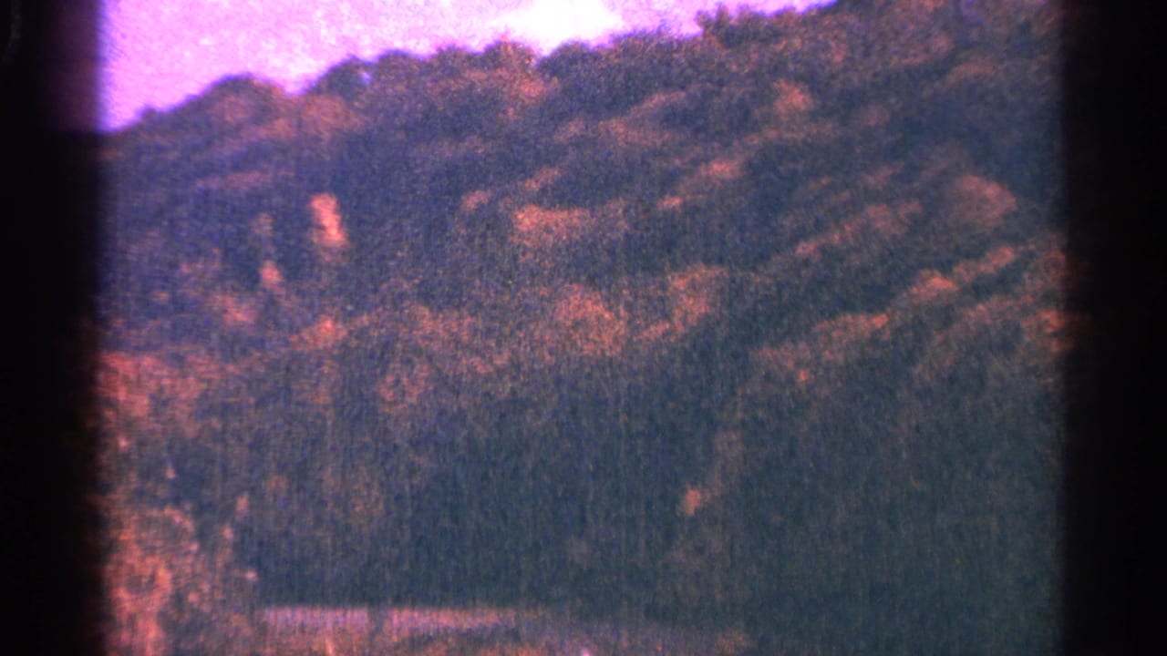 Wooded hillside under a pale sky with dark film borders.