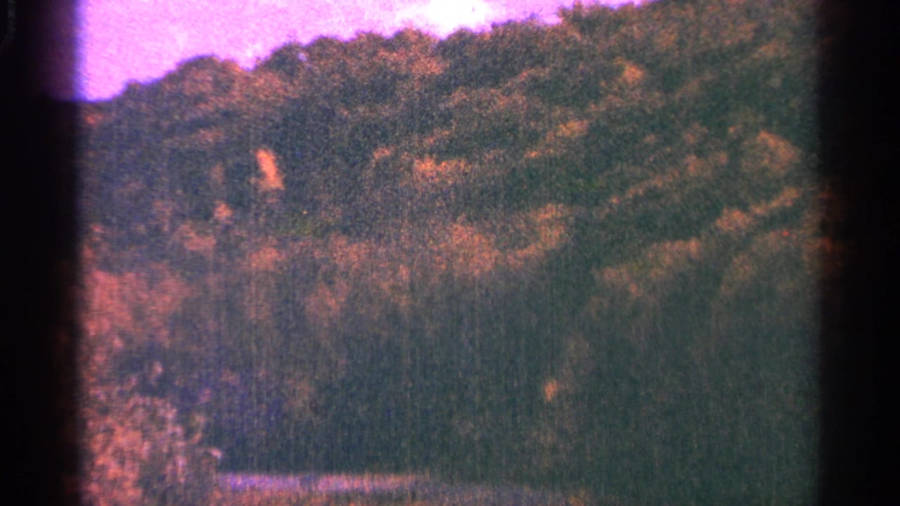 1964 Minnesota 8mm frame with a tree-covered hill, muted sky, strong grain, and dark vertical film border.