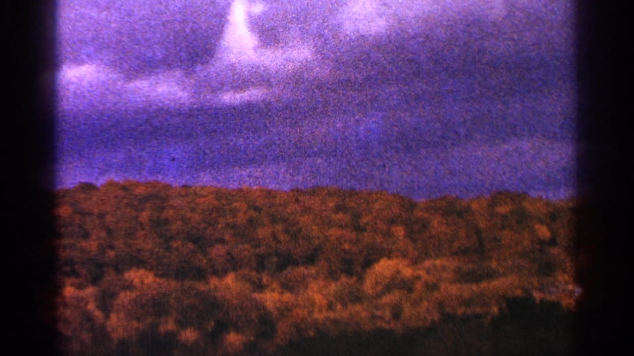 Tree-covered ridge beneath a purple-blue cloudy sky with dark film borders.