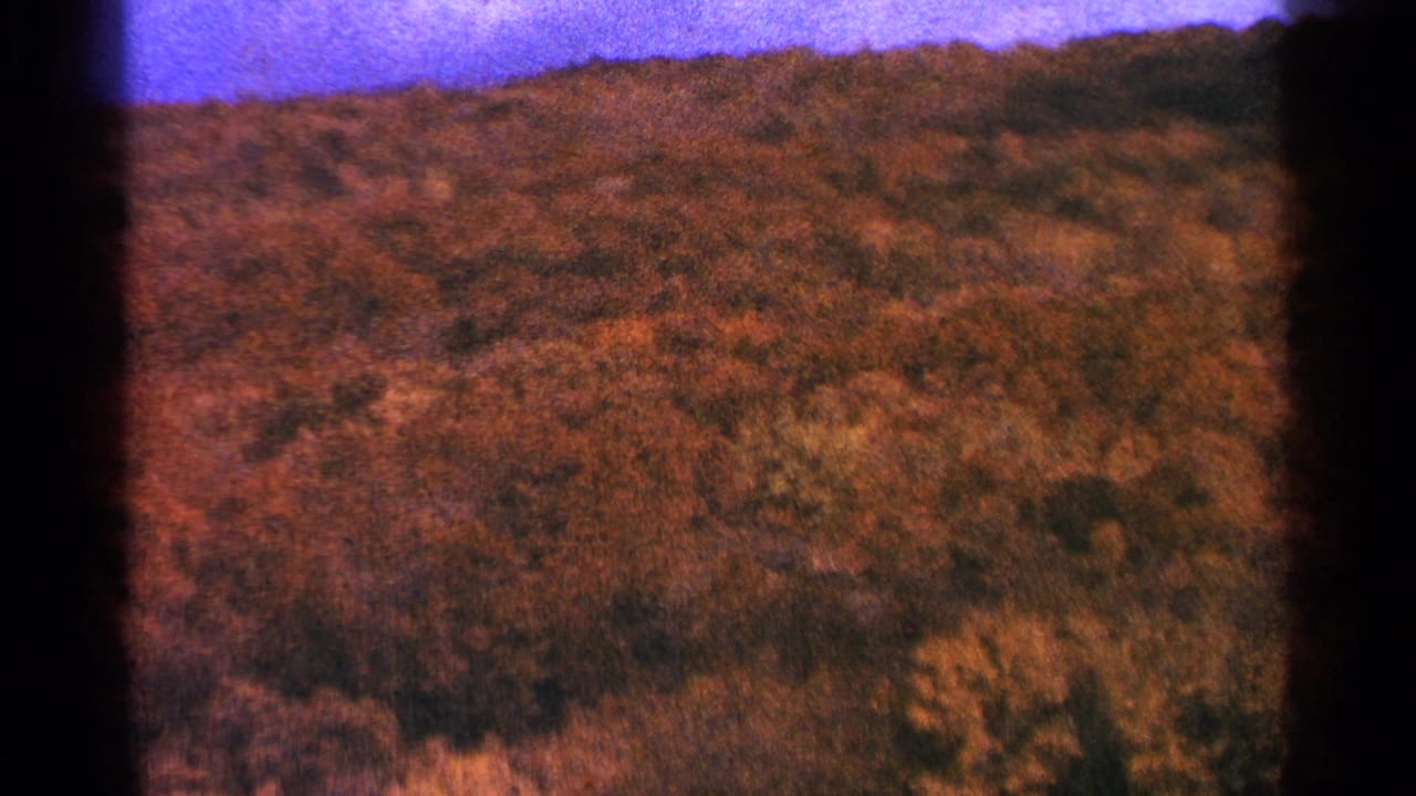 1964 Minnesota 8mm frame of a rolling, tree-covered hillside with warm brown foliage and a purple sky band.