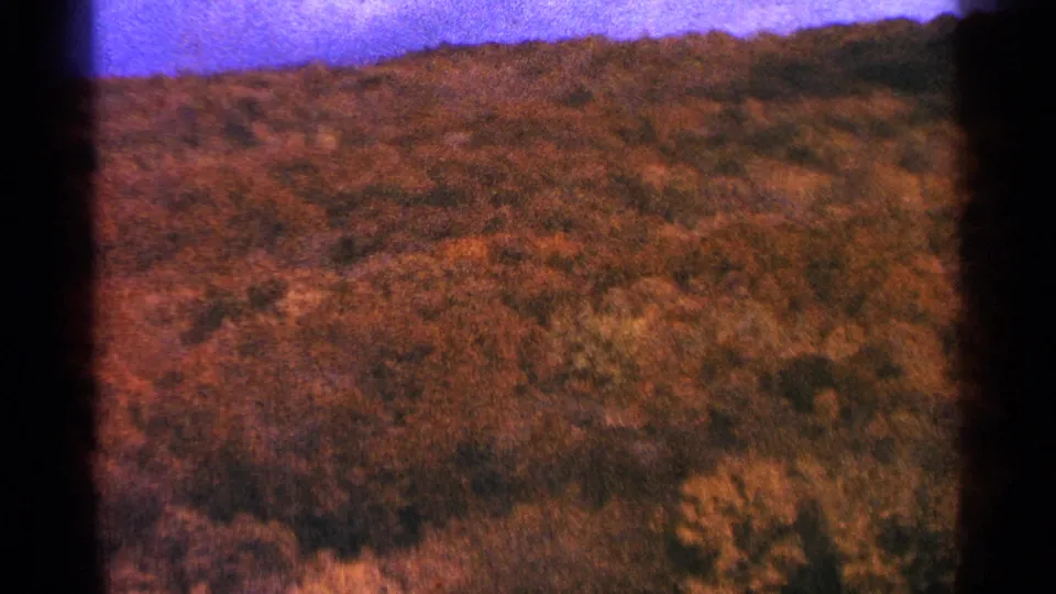 1964 Minnesota 8mm frame of a rolling, tree-covered hillside with warm brown foliage and a purple sky band.