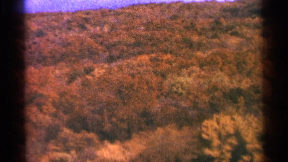 1964 Minnesota 8mm frame showing brush and autumn-toned trees across a soft, grainy hillside view.