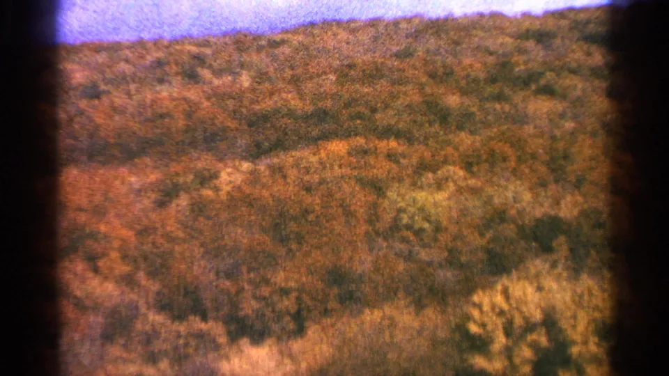 1964 Minnesota 8mm frame of an autumn wooded slope, pale purple sky, and textured grain from the film scan.