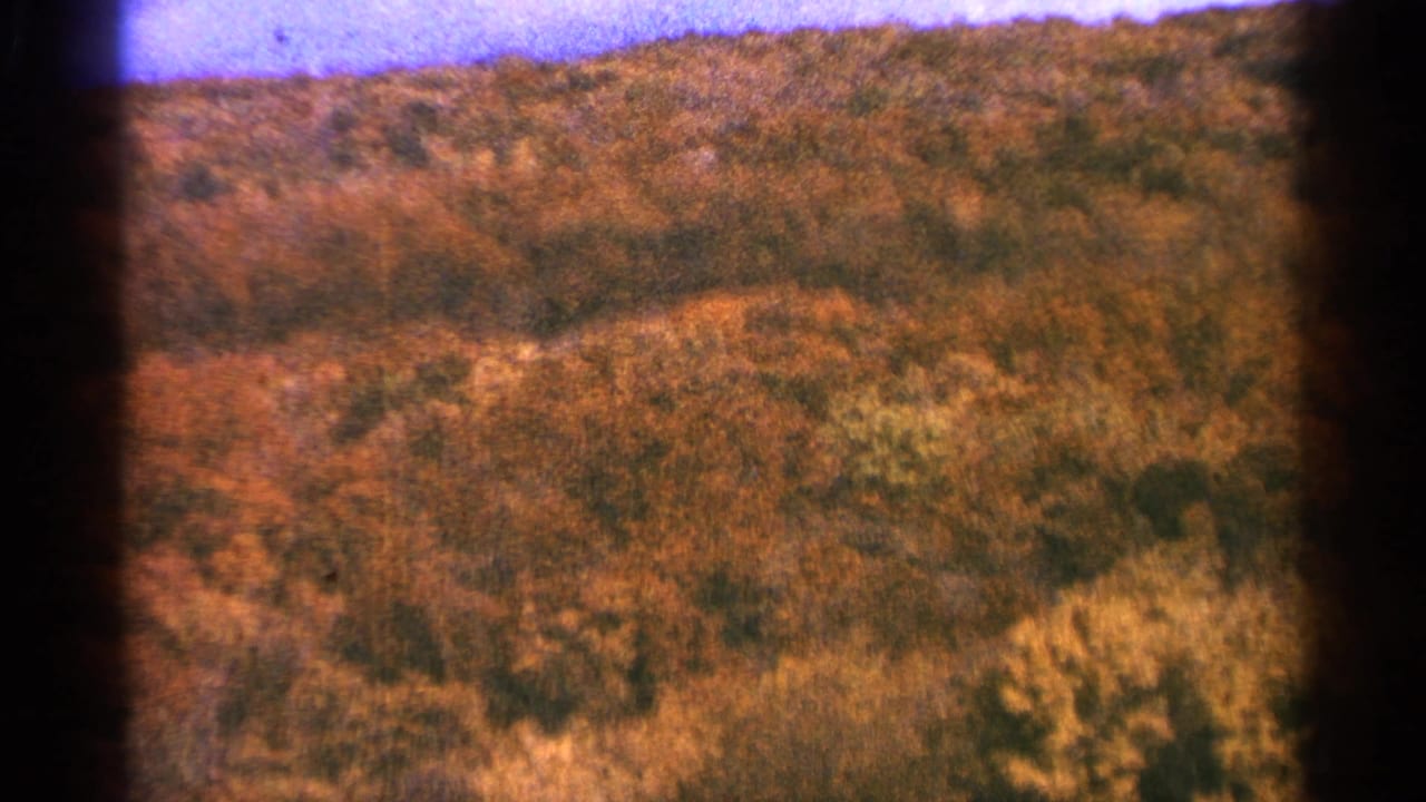 1964 Minnesota 8mm frame showing a rain-darkened sloped hillside and dense vegetation under uneven bright illumination.