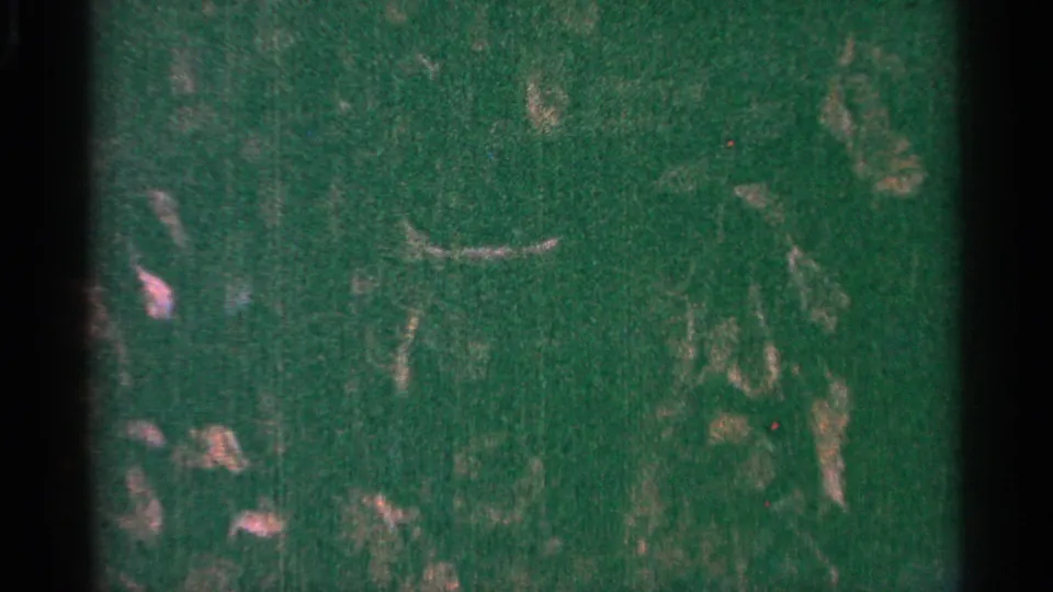 1964 Minnesota 8mm frame with dim green foliage texture, pale scratches, color specks, and soft storm-night exposure.