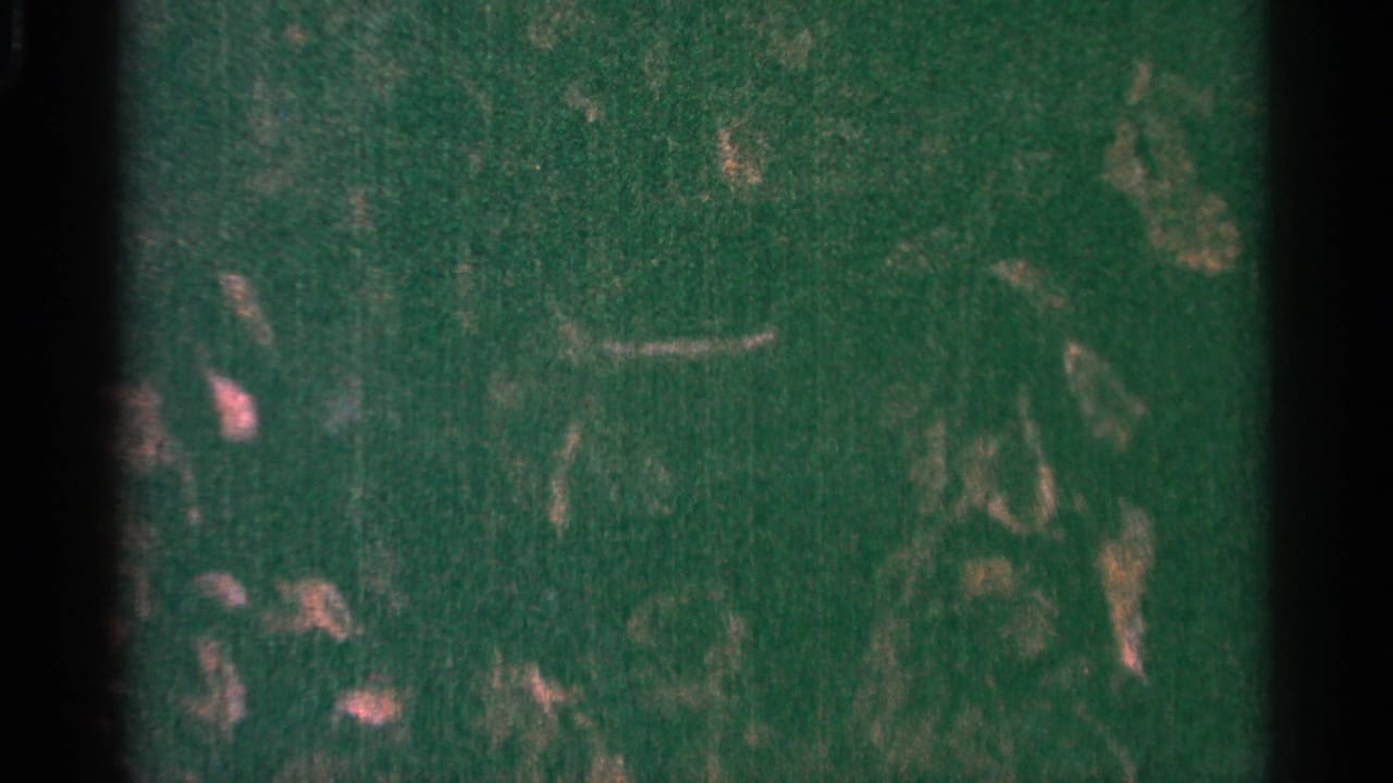Abstract green-tinted film frame with scratches and grain.