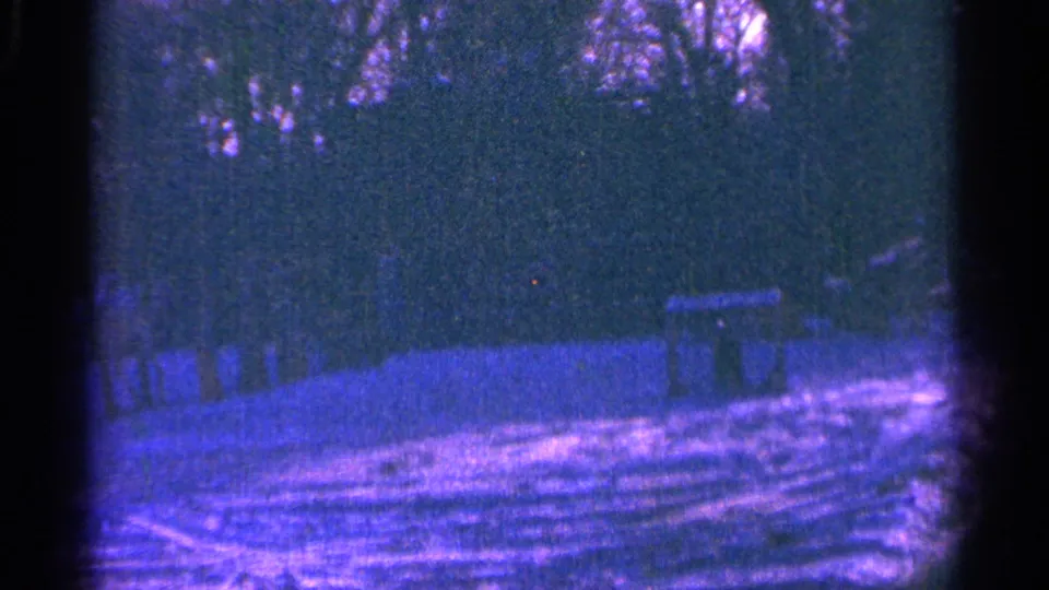 1964 Minnesota 8mm view of a wooded grassy area with tree trunks and a bench-like structure in the background.