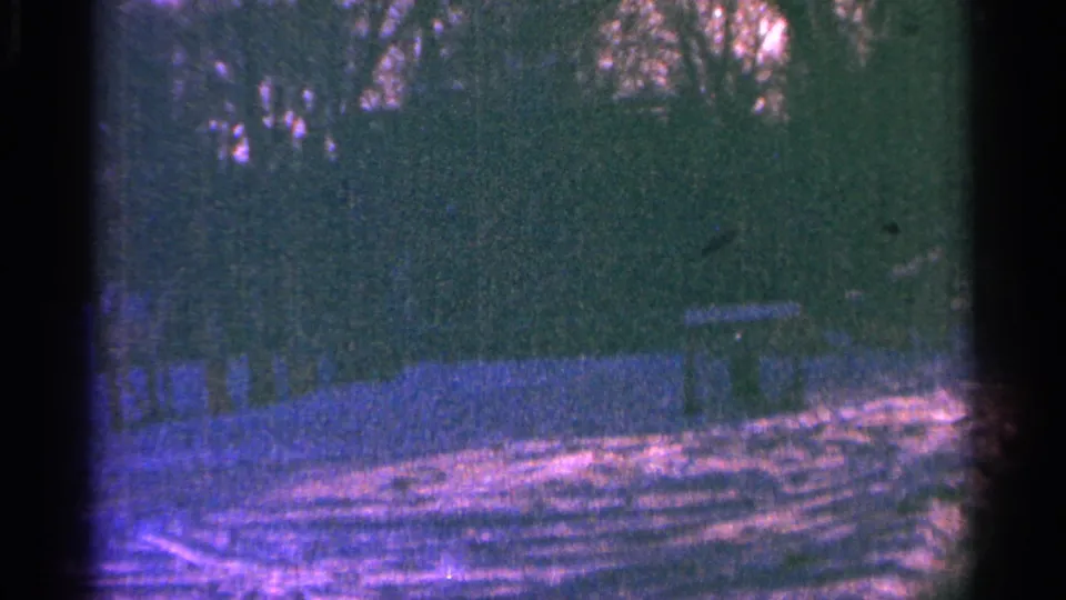Final 1964 Minnesota 8mm frame showing a shadowed grassy wooded area with a bench-like structure to the right.