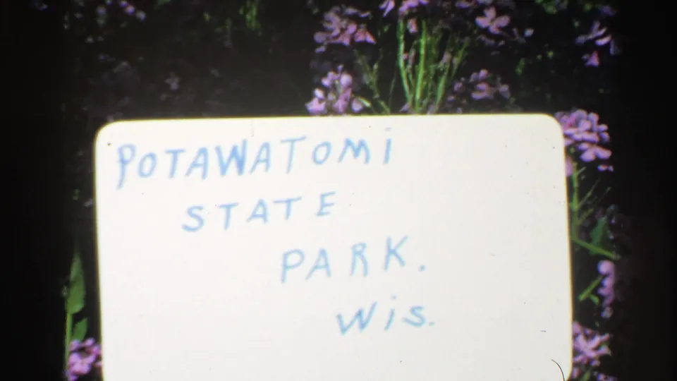 1964 8mm home-movie title card reading Potawatomi State Park, Wis., filmed against purple flowers and green foliage.