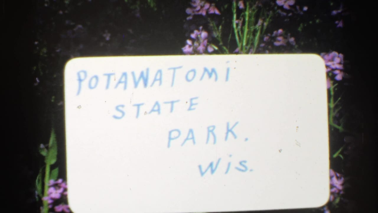 Handwritten 1964 Wisconsin park title card reading Potawatomi State Park, Wis., with purple flowers visible behind it.