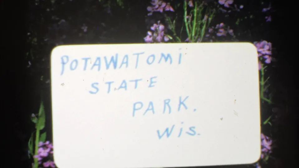 Handwritten 1964 Wisconsin park title card reading Potawatomi State Park, Wis., with purple flowers visible behind it.