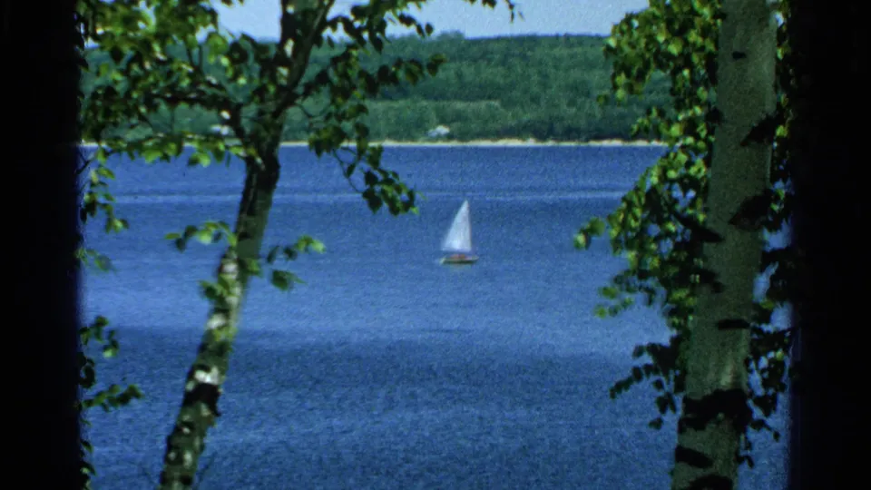 1964 Wisconsin home-movie frame of a small white sailboat on blue lake water, seen through birch trees with forested shoreline beyond.