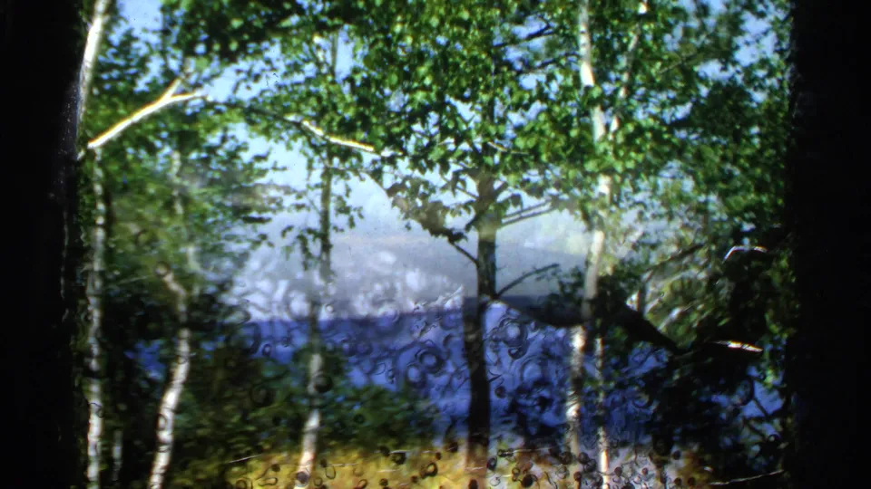 1964 Wisconsin 8mm frame looking through birch and leafy foreground toward blue lake water and a wooded shoreline.