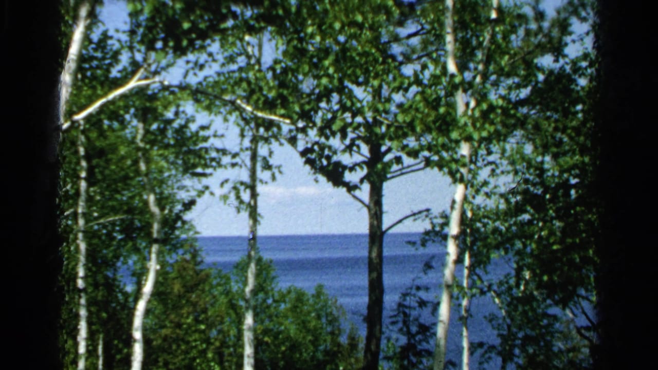 1964 8mm view likely on Washington Island, Wisconsin, with birch trunks and leafy trees framing a blue lake horizon.