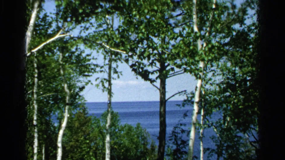 1964 8mm view likely on Washington Island, Wisconsin, with birch trunks and leafy trees framing a blue lake horizon.