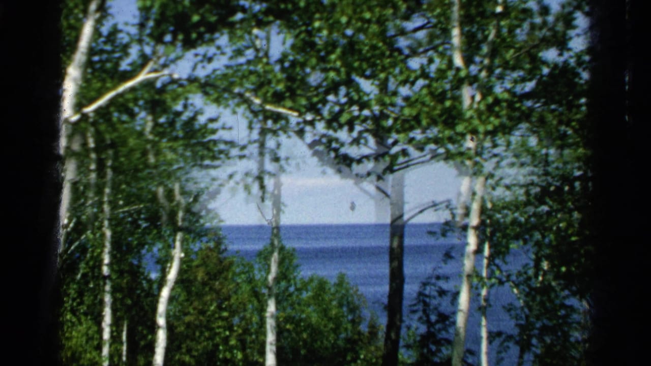 Likely Washington Island, Wisconsin shoreline view in 1964, seen through birch trees toward open blue water.