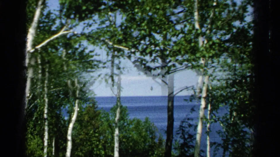 Likely Washington Island, Wisconsin shoreline view in 1964, seen through birch trees toward open blue water.