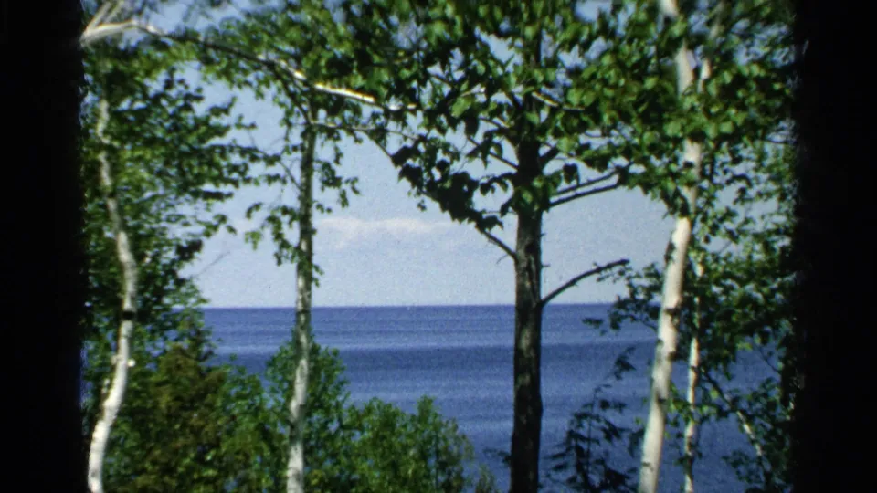 1964 home-movie frame of green shoreline vegetation and birch trees with a blue Wisconsin lake beyond.