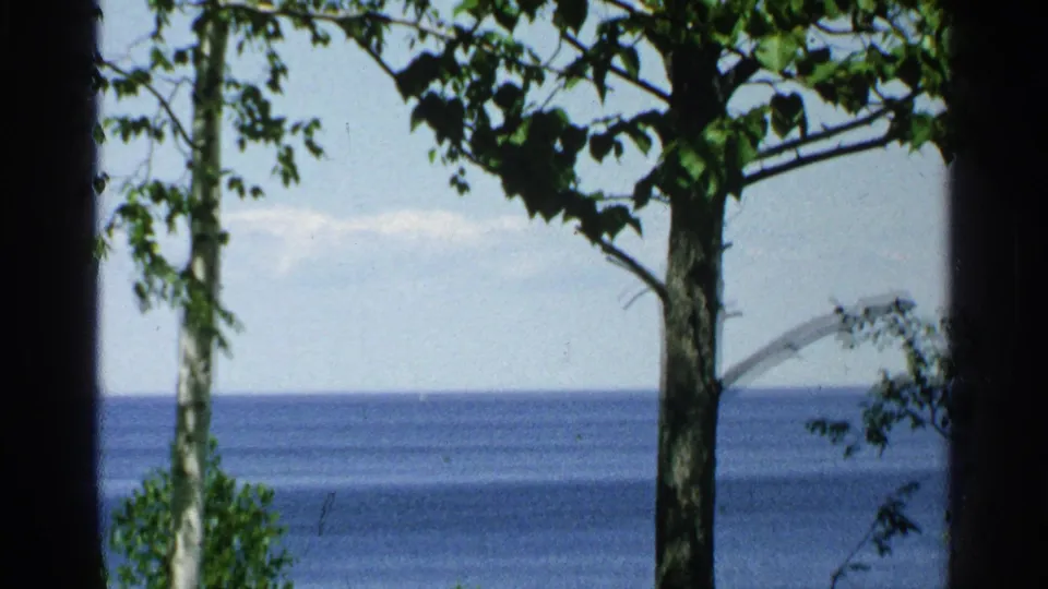 Likely Washington Island, Wisconsin view from 1964, with dark tree silhouettes and birch trunks framing lake water.