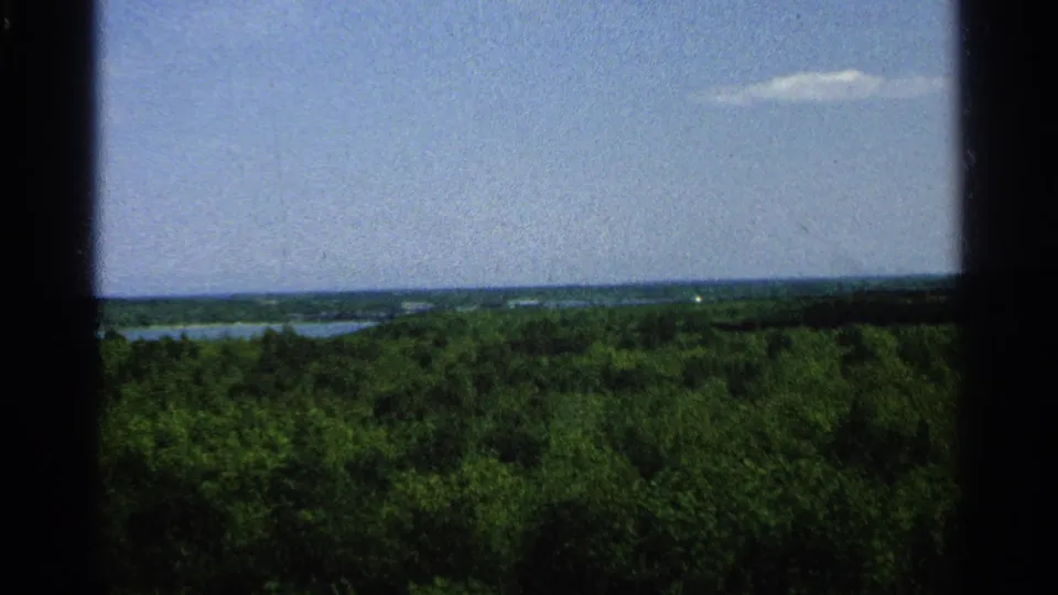 Final Washington Island frame showing treetops, distant lake channels, a low horizon, and open blue sky on 8mm film.