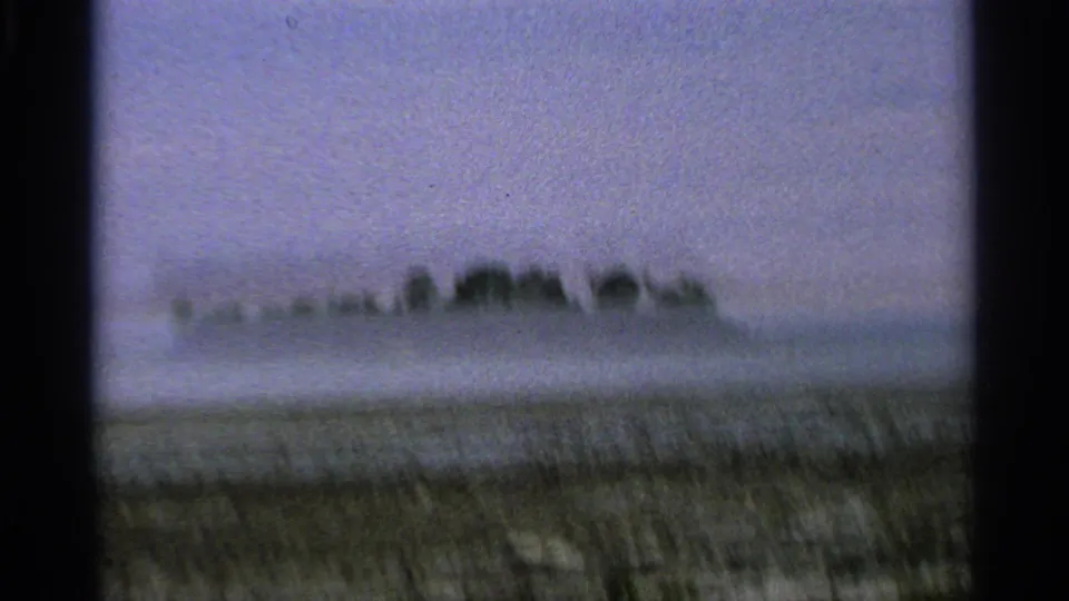Soft 8mm outdoor frame from Washington Island showing grass, a distant tree line, and pale sky.