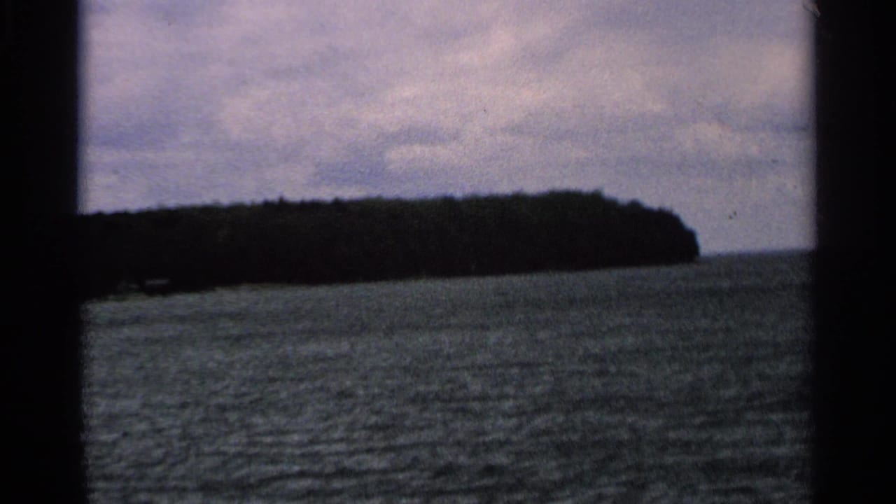 Wooded shoreline and open water framed by dark vertical edges.